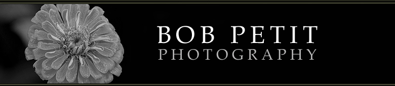 Bob Petit Photography